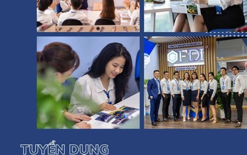 Công ty TNHH MTV Tư vấn Đầu tư GFDI tuyển Chuyên viên Tư vấn Đầu tư
